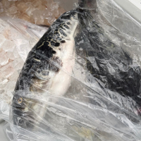 不動のレビュー by_kasumi_♂