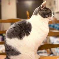 総乃寒菊のレビュー by_kasumi_♂