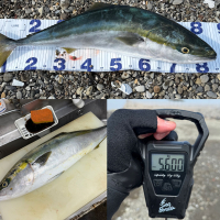 鍋島のレビュー by_kasumi_♂