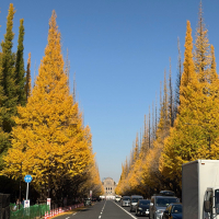 信州亀齢のレビュー by_kasumi_♂