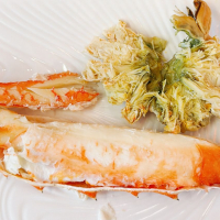 初亀のレビュー by_kasumi_♂