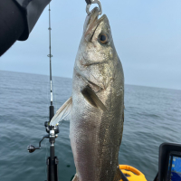 湖弧艪のレビュー by_kasumi_♂