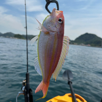 鍋島のレビュー by_kasumi_♂