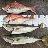 羽根屋のレビュー by_kasumi_♂