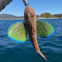 楽器正宗のレビュー by_kasumi_♂