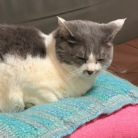 楽器正宗のレビュー by_kasumi_♂