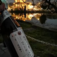 新潟県の酒