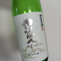 環日本海