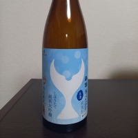 酔鯨