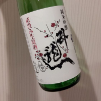 
            臥龍梅_
            タマコンさん