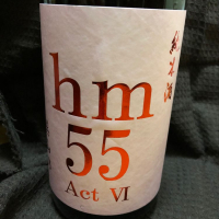 hm55