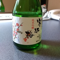寒紅梅