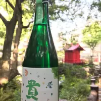 貴
