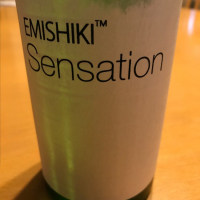 SENSATIONのレビュー by_ogr