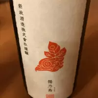 陽乃鳥