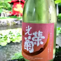 光栄菊
