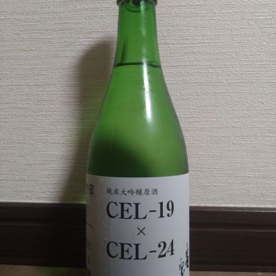 亀泉のレビュー by_ポンチー大将