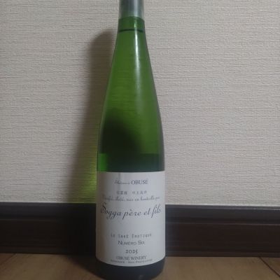 ソガペールエフィスのレビュー by_ポンチー大将