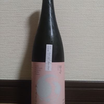 甲子のレビュー by_ポンチー大将