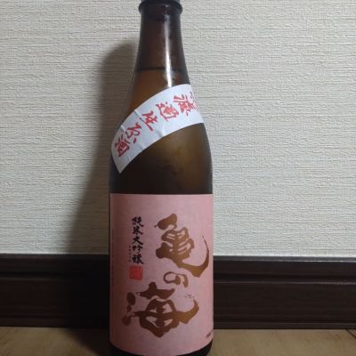 亀の海のレビュー by_ポンチー大将