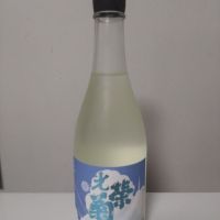 光栄菊