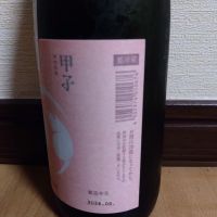 甲子のレビュー by_ポンチー大将