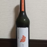 陽乃鳥