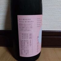 甲子のレビュー by_ポンチー大将