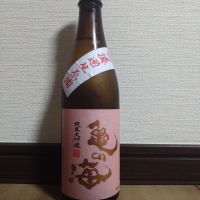 亀の海