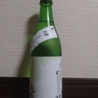 
            亀の海_
            ポンチー大将さん