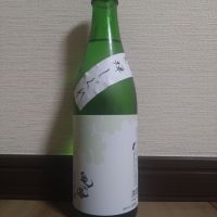 亀の海