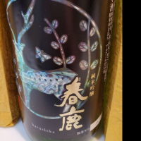 
            春鹿_
            くまさんさん