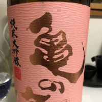 
            亀の海_
            Takashi Rikukawaさん