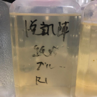 
            悦凱陣_
            Takashi Rikukawaさん