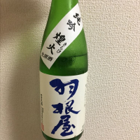 富山県の酒