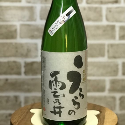 福井県の酒