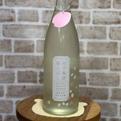 甲子のレビュー by_のうてんきもの
