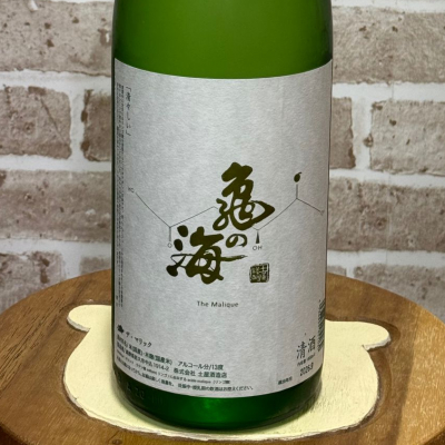 亀の海のレビュー by_のうてんきもの