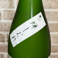 亀の海のレビュー by_のうてんきもの