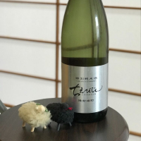 ちえびじんのレビュー by_のうてんきもの
