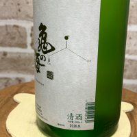 亀の海のレビュー by_のうてんきもの