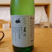 新潟県の酒