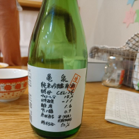 高知県の酒