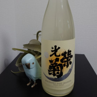 
            光栄菊_
            そらまめさん