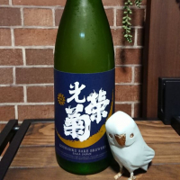 
            光栄菊_
            そらまめさん
