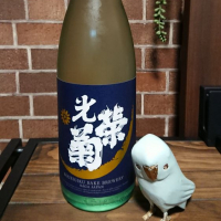 
            光栄菊_
            そらまめさん