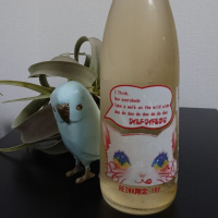 
            三芳菊_
            そらまめさん