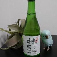 
            亀泉_
            そらまめさん