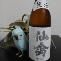 
            仙禽_
            そらまめさん