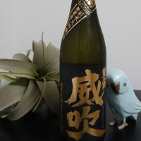 
            栄光冨士_
            そらまめさん